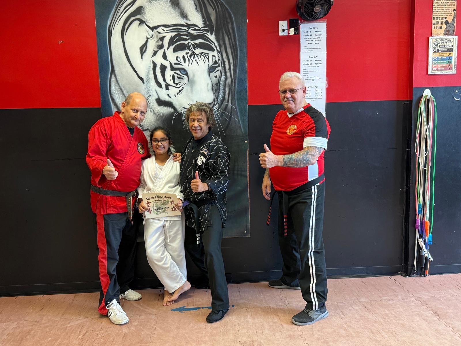 Shaolin Defense photo